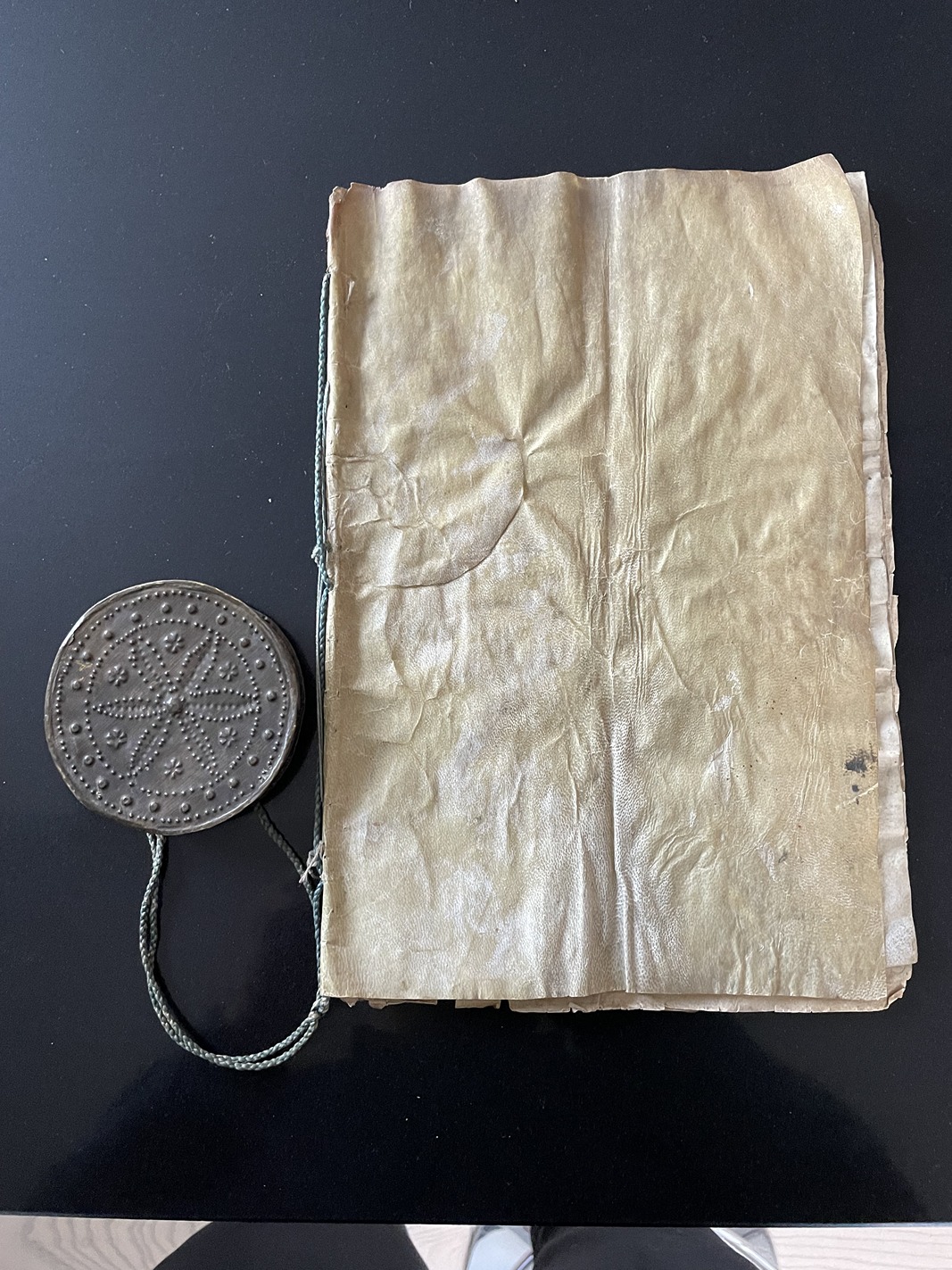 Medico Villa Stupinigi